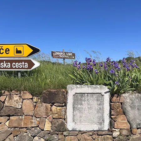 Vikendica Historic Wine-stone House *