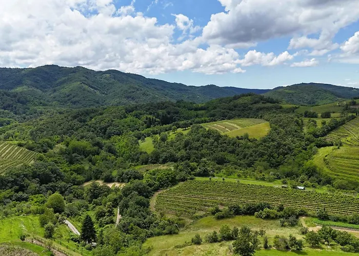 Historic Wine-stone House